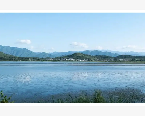 软著费用会计分录实务操作详解