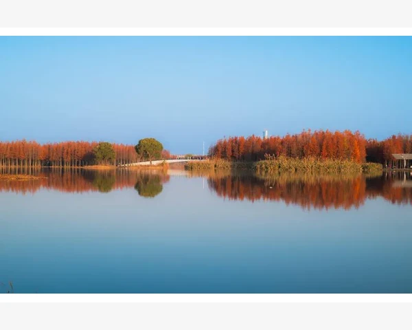 孩子舌苔发白，吃什么好？中医科普解答！
