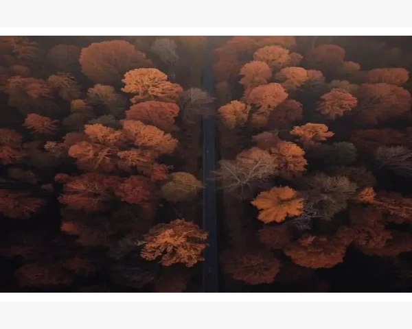 转账支票会计分录编制实操要点