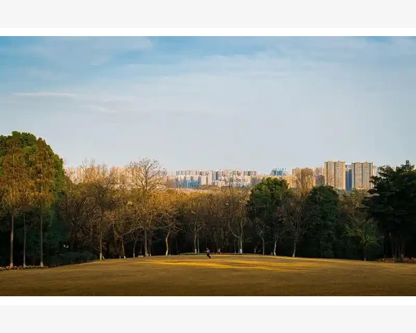 B2B交易流程从询价到付款的简易操作